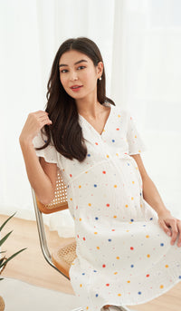 ALISA PRINTED FRONT ZIP NURSING DRESS
