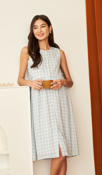 CARL BUTTONDOWN NURSING DRESS GINGHAM