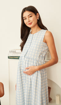 CARL BUTTONDOWN NURSING DRESS GINGHAM