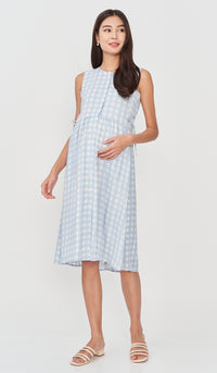 CARL BUTTONDOWN NURSING DRESS GINGHAM