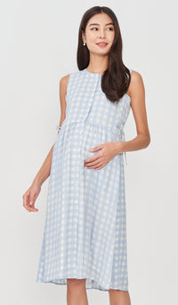 CARL BUTTONDOWN NURSING DRESS GINGHAM