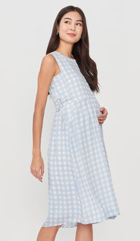 CARL BUTTONDOWN NURSING DRESS GINGHAM