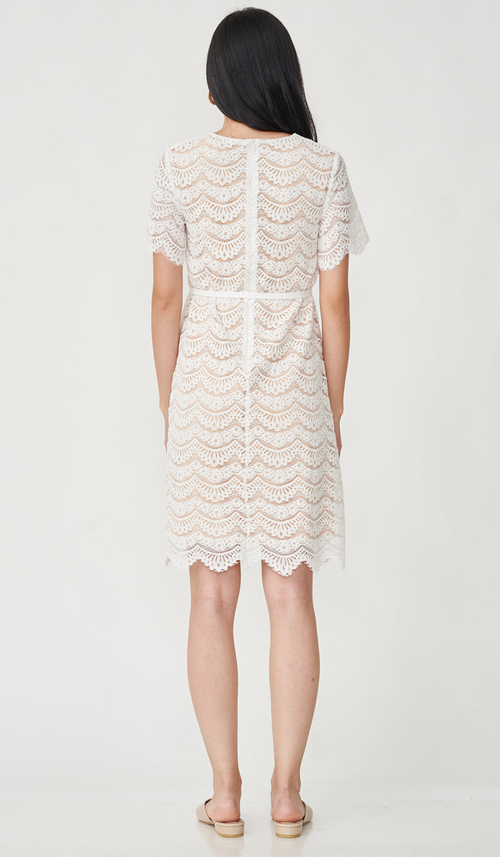 dillards white lace dress Thats So Fetch | Tate Long Sleeve Lace Dress | White main image 1